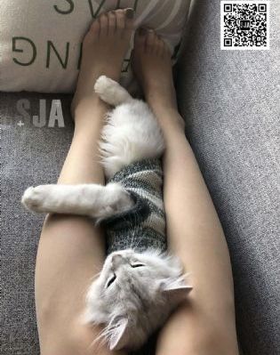 我被女帝听了心声短剧免费观看_BD高清视频播放