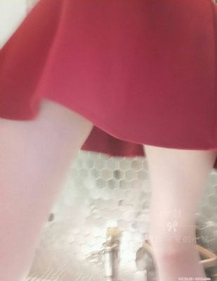 酷爱电影的庞波小姐_BD英语免费观看